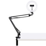 PULUZ 7,9 Zoll 20 cm gebogenes Ringlicht + Tischarmständer USB 3 Modi Dimmbare Dual-Farbtemperatur-LED-Vlogging-Selfie-Fotografie-Videoleuchten mit Telefonklemme, 7.9 inch+Arm Stand – Bild 2