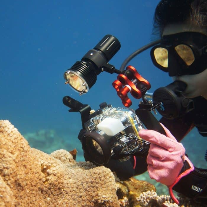 PULUZ Dual-Kugelklemme, offenes Loch, Tauchkamera-Halterung, CNC-Aluminium-Feder-Taschenlampenklemme für Tauch-Unterwasser-Fotografiesystem, Dual Ball Open Hole(Black), Dual Ball Open Hole(Blue), Dual Ball Open Hole(Red) – Bild 8