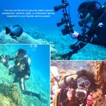 PULUZ 8 Zoll 20,3 cm Aluminiumarm-Kugelarm für Unterwasserbrenner / Videolicht, Kugeldurchmesser: 2,5 cm – Bild 5