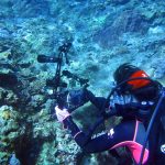 PULUZ 8 Zoll 20,3 cm Aluminiumarm-Kugelarm für Unterwasserbrenner / Videolicht, Kugeldurchmesser: 2,5 cm – Bild 7