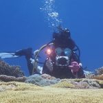 PULUZ Doppelgriffe, Tablettstabilisator aus Aluminiumlegierung für Unterwasserkameragehäuse, Light Aluminium Tray Stabilizer(Red), Light Aluminium Tray Stabilizer(Black) – Bild 9