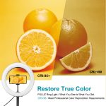 PULUZ 10,2 Zoll 26 cm USB 3 Modi dimmbar Dual-Color-Temperatur LED gebogener Ring Vlogging Selfie Fotografie Videoleuchten mit Bluetooth-Fernauslöser & klappbarer Tischhalterung & Telefonklemme – Bild 7