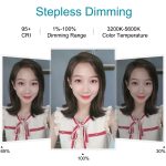 PULUZ 7,9 Zoll 20 cm USB 3 Modi Dimmbar Dual Farbtemperatur LED gebogener Lichtring Vlogging Selfie Fotografie Videoleuchten mit Spiegel, 7.9 inch with mirror – Bild 6