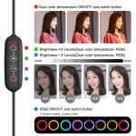 PULUZ 10,2 Zoll 26 cm gebogene Oberfläche 168 LED Festzelt LED RGBWW Zweifarbige, temperaturdimmbare Ring-Vlogging-Fotografie-Videoleuchten mit Kaltschuh-Stativ-Kugelkopf & Fernbedienung & Telefonklemme, 10.2 inch Marquee LED – Bild 5