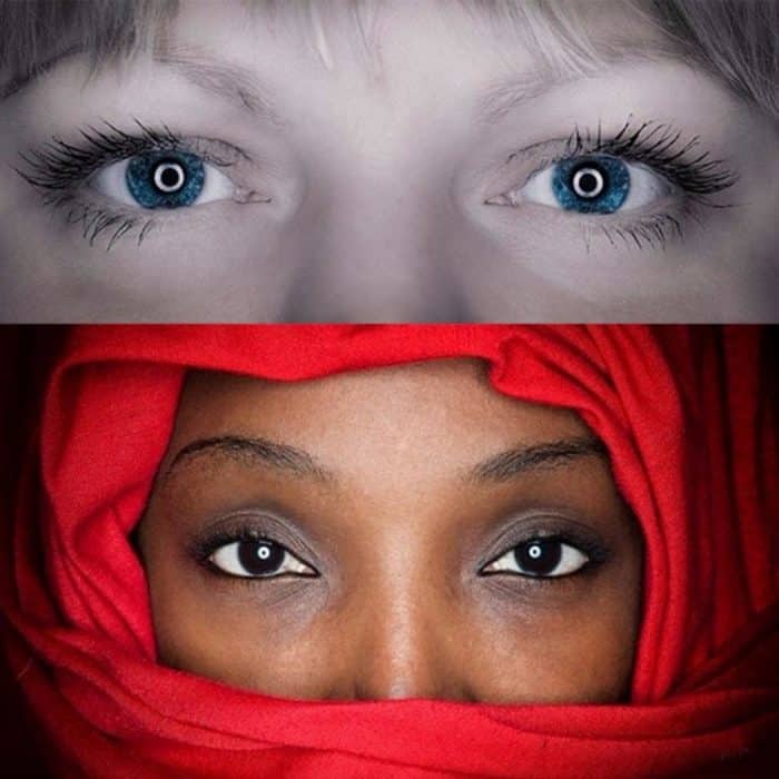 PULUZ 45 cm runder Makro- und Porträt-Softbox SpeedLite-Blitzlicht, faltbarer Diffusor, 45cm Round(US), 45cm Round, 45cm Round(AE) – Bild 13