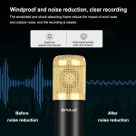 PULUZ Kondensatormikrofon Studio Broadcast Professionelle Gesangsmikrofon-Kits mit aufgehängtem Scherenarm & Metall-Stoßdämpferhalterung & USB-Soundkarte, Stromversorgung über 48 V, 48V Microphone Kits (Gold) – Bild 5