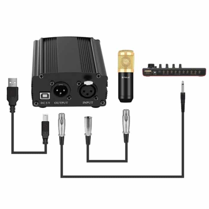 PULUZ Kondensatormikrofon Studio Broadcast Professionelle Gesangsmikrofon-Kits mit aufgehängtem Scherenarm & Metall-Stoßdämpferhalterung & USB-Soundkarte, Stromversorgung über 48 V, 48V Microphone Kits (Gold) – Bild 7