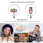 PULUZ PD20W 11,8 Zoll 30 cm Typ C 3 Modi Dimmbar Zweifarbtemperatur LED Gebogener diffuser Lichtring Vlogging Selfie Fotografie Videoleuchten mit Telefonklemme, Type-C – Bild 7