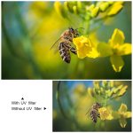 55 mm UV-Filter (schwarz) – Bild 5