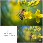 62mm UV Filter (schwarz) – Bild 5