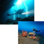 5 x CREE XPE 15W Tauchtaschenlampe, 5000 LM UV Lila Licht, Tauchtiefe: 150m (Schwarz) – Bild 7