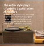 Bluetooth-Lautsprecher im Retro-Stil, integrierte hochempfindliche FM-Empfangsantenne, Langzeitreise – Bild 6