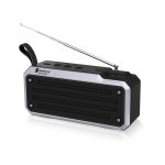 NewRixing NR4018FM TWS Tragbarer Stereo-Bluetooth-Lautsprecher, unterstützt TF-Karte / FM / 3,5 mm AUX / U-Disk / Freisprechanruf