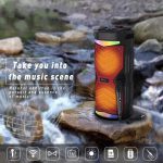 NewRixing NRG6601A Tragbarer kabelloser Karaoke-Lautsprecher für den Außenbereich, 20 W, Audioverstärker mit Mikrofon – Bild 6