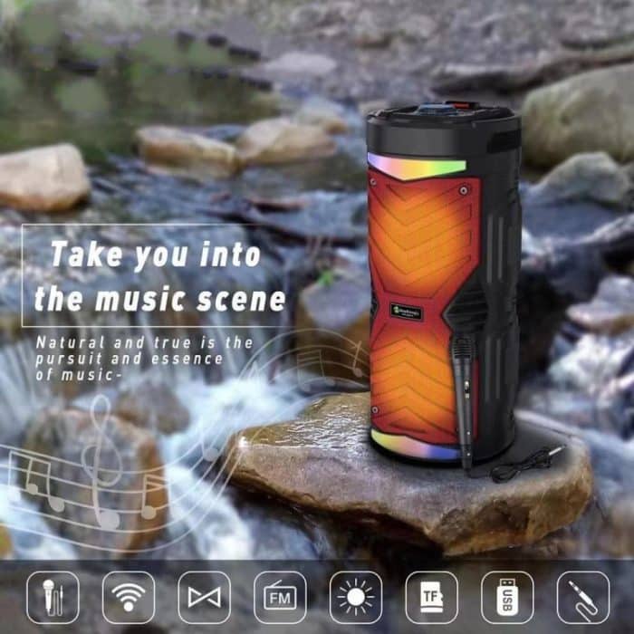 NewRixing NRG6601A Tragbarer kabelloser Karaoke-Lautsprecher für den Außenbereich, 20 W, Audioverstärker mit Mikrofon – Bild 6