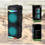 NewRixing NRG6601A Tragbarer kabelloser Karaoke-Lautsprecher für den Außenbereich, 20 W, Audioverstärker mit Mikrofon – Bild 7