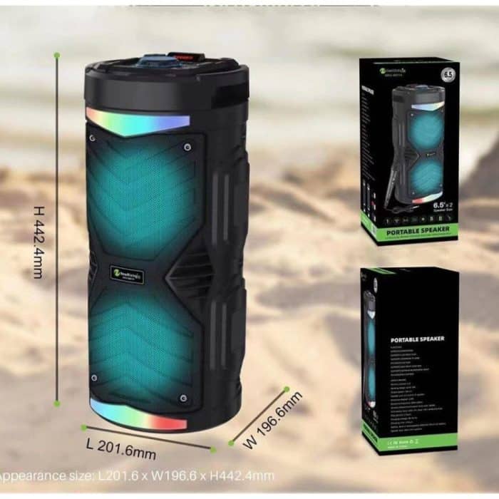 NewRixing NRG6601A Tragbarer kabelloser Karaoke-Lautsprecher für den Außenbereich, 20 W, Audioverstärker mit Mikrofon – Bild 7