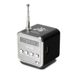 Tragbare Lautsprecher mit FM-Mini-Multifunktionsradio, USB-Notebook-Lautsprecher für TV, Telefon, unterstützt SD/TF-Karte, MP3-Musik-Player