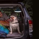 USB wiederaufladbare Lüfterlampe Live-Übertragung Multifunktions-Zelt-Campinglampe, Fan Light, Fan Light + Bracket – Bild 7