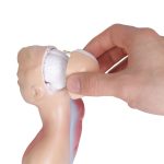 Medizinische Grund- und Sekundarschulbildung 26CM Torsomodell Menschliche Anatomie Organstrukturmodell – Bild 5