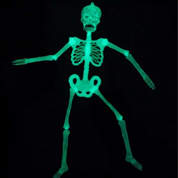 Leuchtendes Skelett, Halloween-Aktivitäts-Requisiten, Bar, Spukhaus-Dekorationszubehör, fluoreszierendes Skelett, Small（35cm), Medium(90cm), Large(150cm) – Bild 3