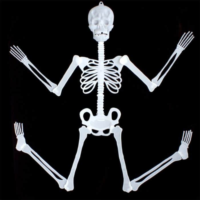 Leuchtendes Skelett, Halloween-Aktivitäts-Requisiten, Bar, Spukhaus-Dekorationszubehör, fluoreszierendes Skelett, Small（35cm), Medium(90cm), Large(150cm) – Bild 4