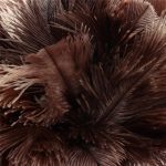 Feather Duster Brush Holzgriff Antistatischer Haushaltsauto-Staubabscheider – Bild 4