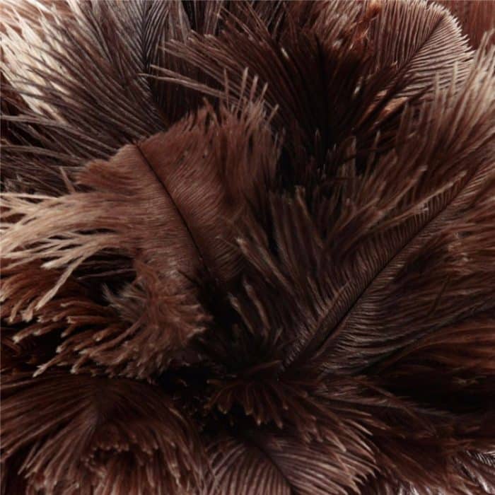 Feather Duster Brush Holzgriff Antistatischer Haushaltsauto-Staubabscheider – Bild 4