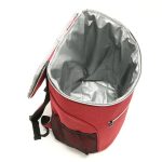 Outdoor-Picknick-Isolierungsrucksack, wasserdichter Rucksack aus Oxford-Stoff, Backpack(Red), Backpack(Gray) – Bild 5