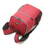 Outdoor-Picknick-Isolierungsrucksack, wasserdichter Rucksack aus Oxford-Stoff, Backpack(Red), Backpack(Gray) – Bild 6