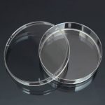 10 Stück Polystyrol sterile Petrischalen Bakterienschale Labor medizinische biologische wissenschaftliche Laborbedarf, 55mm, 60mm, 70mm, 90mm, 100mm, 150mm – Bild 2