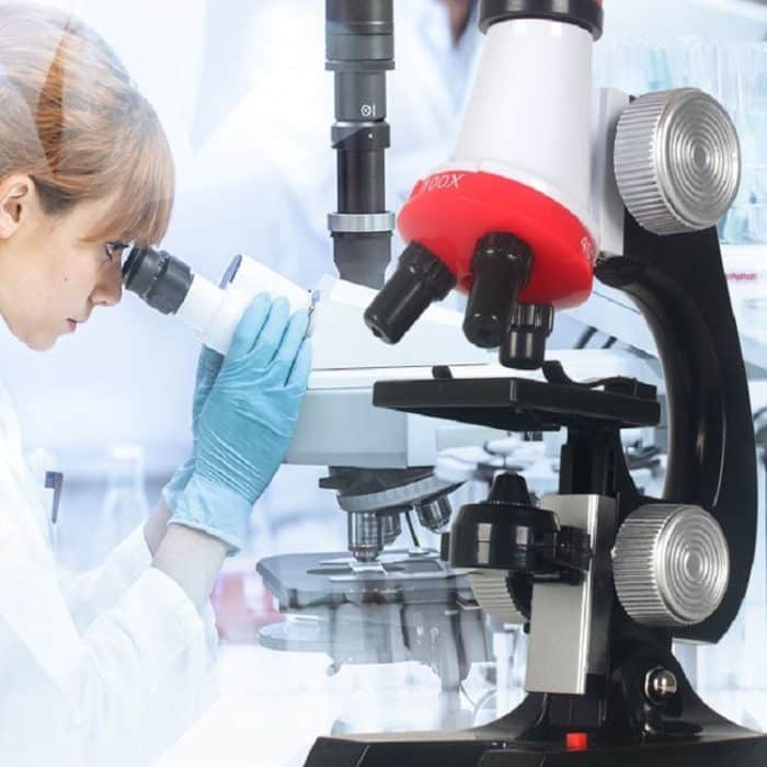 Frühe Bildung Biologische Wissenschaft 1200X Mikroskop Wissenschaft Und Bildung Spielzeug Set Für Kinder, S, L – Bild 9