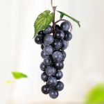 Simulation Fruchtsimulation Trauben PVC mit cremefarbenen Traubensprossen-Requisiten, 4 Bunches 36 Black Grapes, 4 Bunches 36 Green Grapes, 4 Bunches 36 Red Grapes, 4 Bunches 36 Grain Agate Grapes, 4 Bunches 36 Purple Grapes, 4 Bunches 60 Black Grapes...