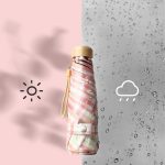 Fünffach-Gitterschirm, schwarzer Kleber, Sonne und Regen, Taschenkapselschirm mit doppeltem Verwendungszweck – Bild 4