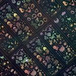 10 Stück Heißpräge-Laser-Cartoon-Tier-Aufkleber, Dekoration, Handkonto-Material, Jellyfish, Bubble, Starry Sky, Butterfly – Bild 3