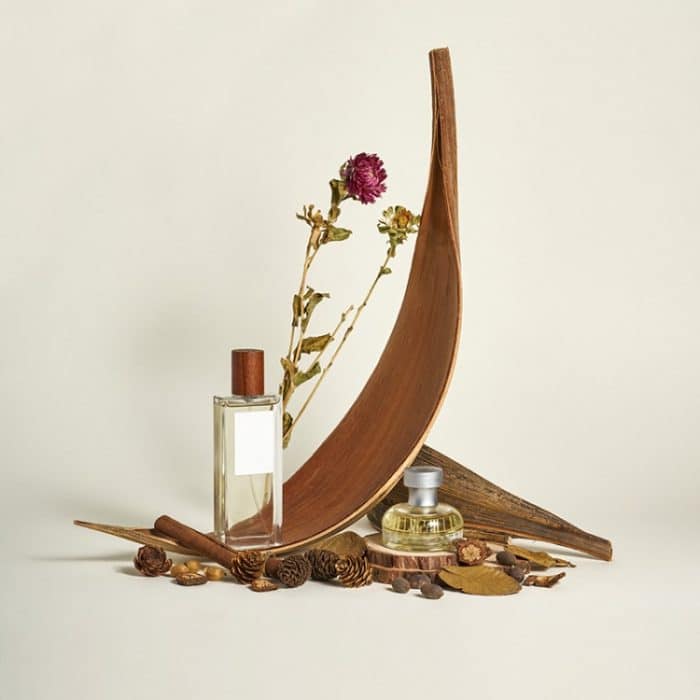 Kakaoblätter, natürliche Pflanzenschieß-Requisiten, trockene Blumenornamente, 20-32 cm, 35-39 cm – Bild 2