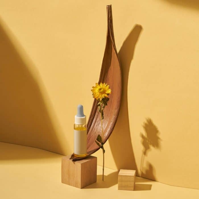 Kakaoblätter, natürliche Pflanzenschieß-Requisiten, trockene Blumenornamente, 20-32 cm, 35-39 cm – Bild 4