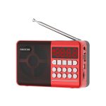 TEMEIYIN LED Digital Display Karte Bluetooth Radio Lautsprecher Morgenübung Tragbarer Player, Red, Red with Light
