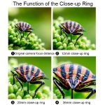 Für Canon EOS Serie VILTROX DG-C Kamera Automatische Nahring-Makrohalterung – Bild 4