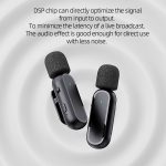 Kabelloses Lavalier-Mikrofon mit Ladebox, Rauschunterdrückung, Videoaufzeichnungsmikrofon, Spezifikationen:, K63 One To Two  Type-C Interface, K63 One To Two  8 Pin Interface, K61 One To  One Type-C Interface, K61 One To  One 8 Pin Interface – Bild 2