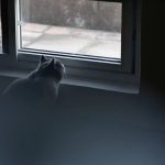 Zubehör für tragbare Dioptrienunschärfe-Fotokameras mit Spezialeffekt, 79mm+1, 79mm+2, 79mm+3, 150mm+0.5, 150mm +1, 150mm+2 – Bild 7