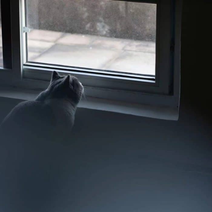 Zubehör für tragbare Dioptrienunschärfe-Fotokameras mit Spezialeffekt, 79mm+1, 79mm+2, 79mm+3, 150mm+0.5, 150mm +1, 150mm+2 – Bild 7