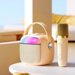 Havit P1 Tragbares, kabelloses Bluetooth-Lautsprecher-Mikrofon-Set für zu Hause, Single-microphone, Dual-microphone – Bild 2