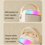 Havit P1 Tragbares, kabelloses Bluetooth-Lautsprecher-Mikrofon-Set für zu Hause, Single-microphone, Dual-microphone – Bild 12