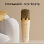 Havit P1 Tragbares, kabelloses Bluetooth-Lautsprecher-Mikrofon-Set für zu Hause, Single-microphone, Dual-microphone – Bild 4