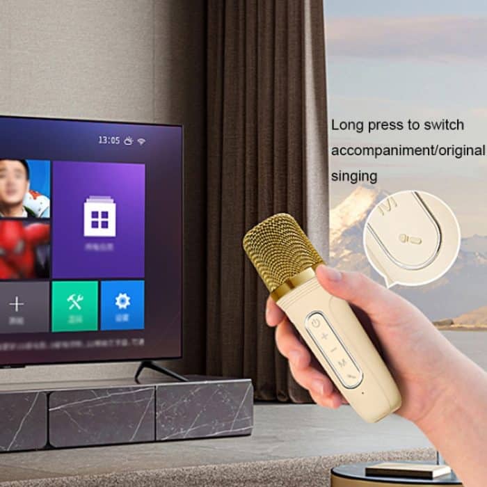 Havit P1 Tragbares, kabelloses Bluetooth-Lautsprecher-Mikrofon-Set für zu Hause, Single-microphone, Dual-microphone – Bild 8