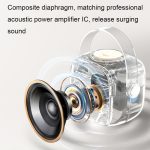 Havit P1 Tragbares, kabelloses Bluetooth-Lautsprecher-Mikrofon-Set für zu Hause, Single-microphone, Dual-microphone – Bild 9