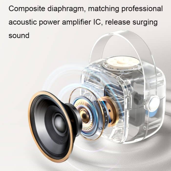 Havit P1 Tragbares, kabelloses Bluetooth-Lautsprecher-Mikrofon-Set für zu Hause, Single-microphone, Dual-microphone – Bild 9