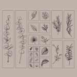 Stempelset „Handbook Seal Holly Wood“., Greenness and Vitality – Bild 2