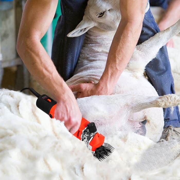 HILDA Motorisierte Wollschere, Elektroscheren-Werkzeugsatz, EU Plug Black, EU Plug Red, US Plug Black, US Plug Red – Bild 8